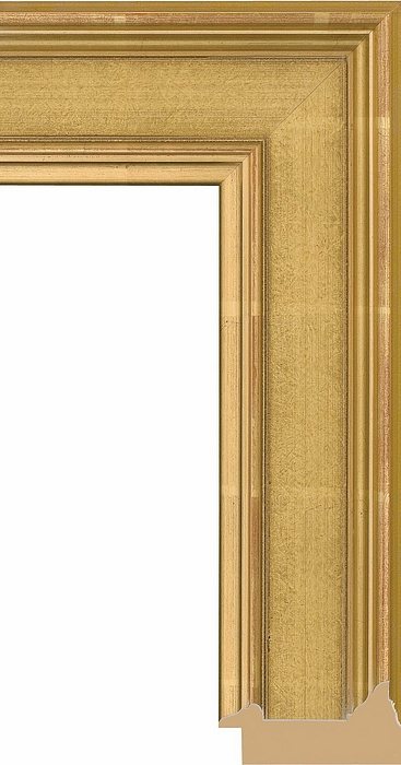 Larson Juhl 540951 Order Online   CEZANNE GLD CASSETA 2 15/16  Custom Frames And Moulding Shipped Nationwide