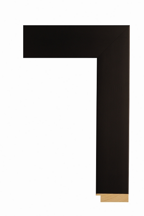 Larson Juhl 550285 Order Online   TRIBECA WIDE FLAT 2 1/4  Custom Frames And Moulding Shipped Nationwide