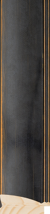 Larson Juhl 573250 Order Online   ANDOVER LG DOME BLK 2 11/16  Custom Frames And Moulding Shipped Nationwide