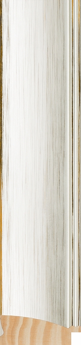 Larson Juhl 573270 Order Online   ANDOVER LGDOME SLVR 2 11/16  Custom Frames And Moulding Shipped Nationwide
