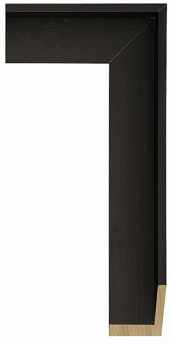 Larson Juhl 623674 Order Online   CRANBROOK EB WAL FLOAT 2  Custom Frames And Moulding Shipped Nationwide