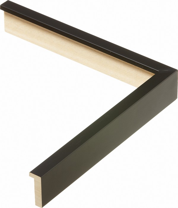 Roma Moulding 10601000
Custom frames and moulding shipped natonwide.
Call 770-941-3394