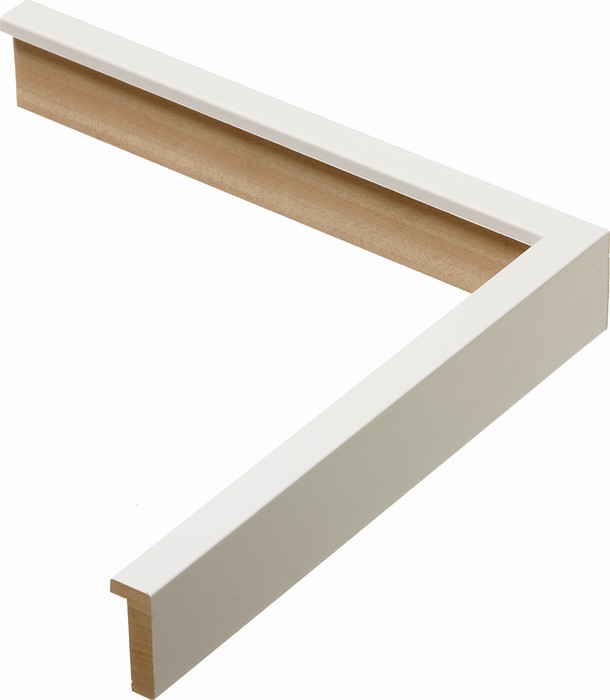Roma Moulding 10601009
Custom frames and moulding shipped natonwide.
Call 770-941-3394