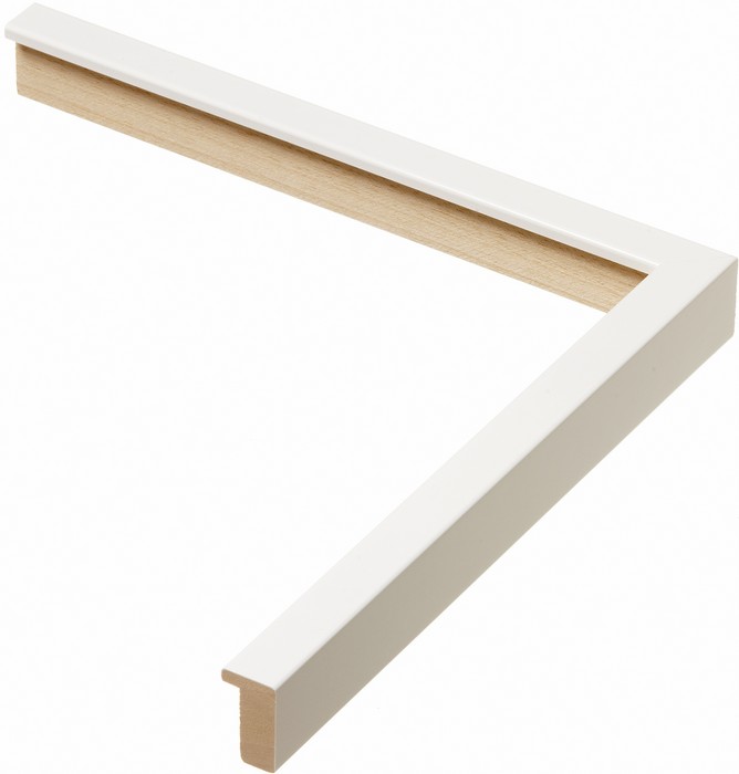 Roma Moulding 10771048
Custom frames and moulding shipped natonwide.
Call 770-941-3394