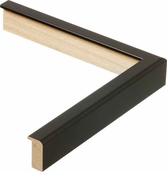 Roma Moulding 11081001
Custom frames and moulding shipped natonwide.
Call 770-941-3394