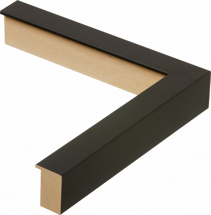 Roma Moulding 12054000
Custom frames and moulding shipped natonwide.
Call 770-941-3394