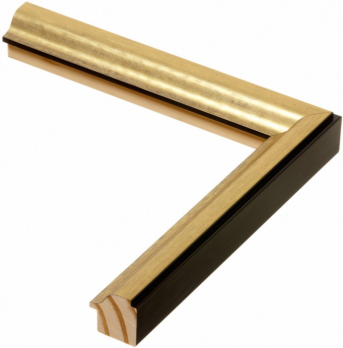 Roma Moulding 139055
Custom frames and moulding shipped natonwide.
Call 770-941-3394