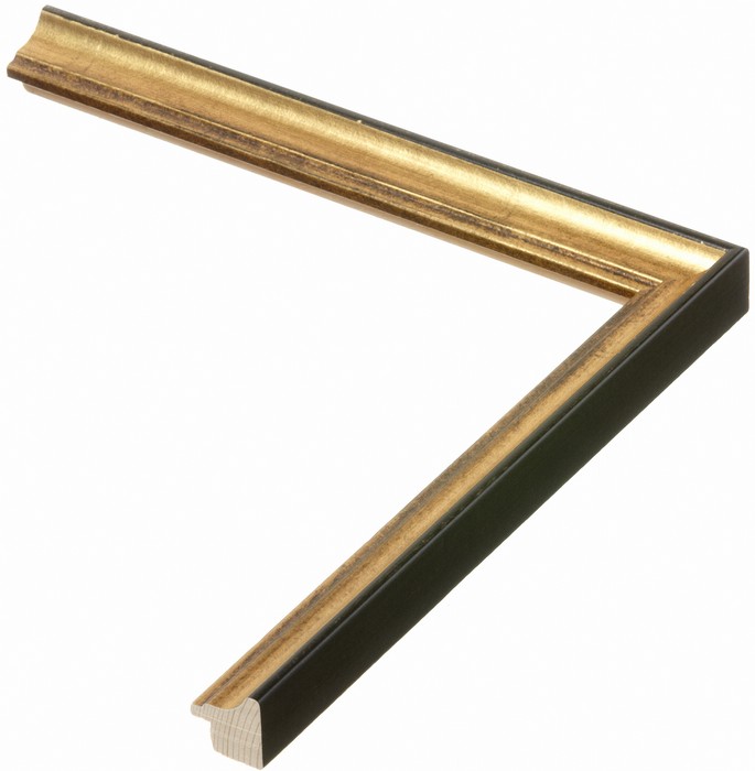 Roma Moulding 1702055
Custom frames and moulding shipped natonwide.
Call 770-941-3394