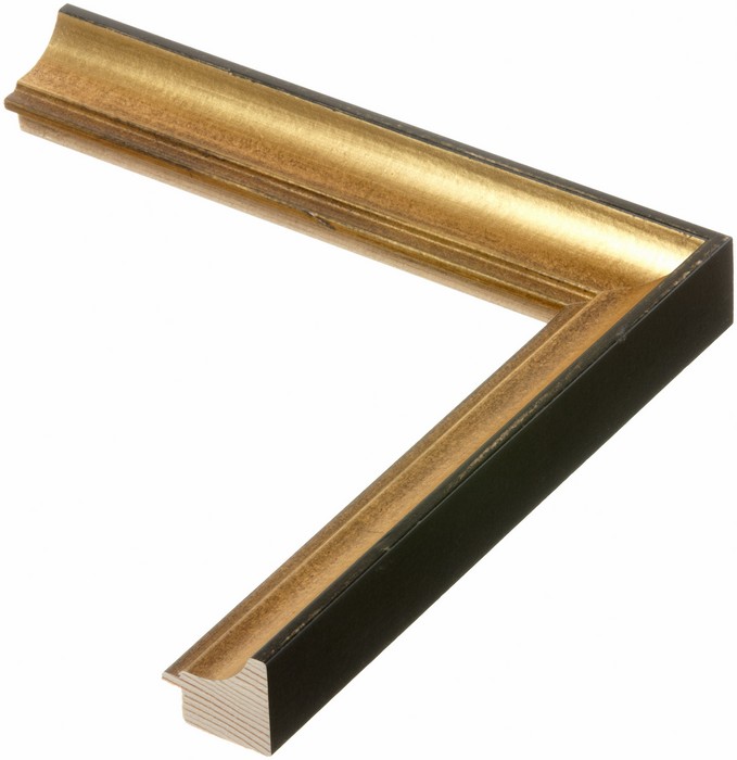 Roma Moulding 1703055
Custom frames and moulding shipped natonwide.
Call 770-941-3394