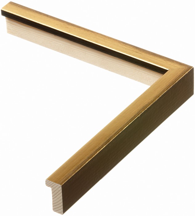 Roma Moulding 1822055
Custom frames and moulding shipped natonwide.
Call 770-941-3394