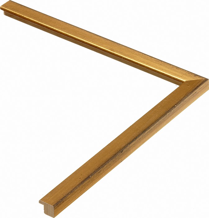 Roma Moulding 1832055
Custom frames and moulding shipped natonwide.
Call 770-941-3394