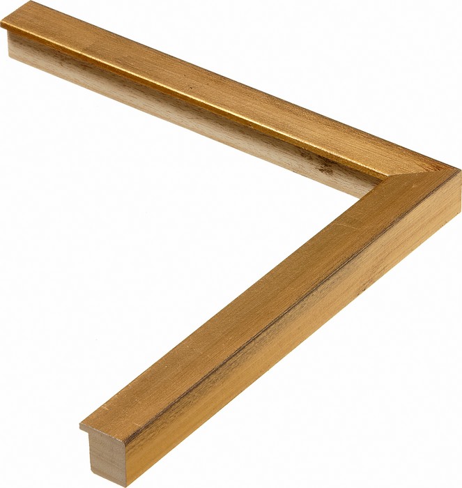 Roma Moulding 1843055
Custom frames and moulding shipped natonwide.
Call 770-941-3394