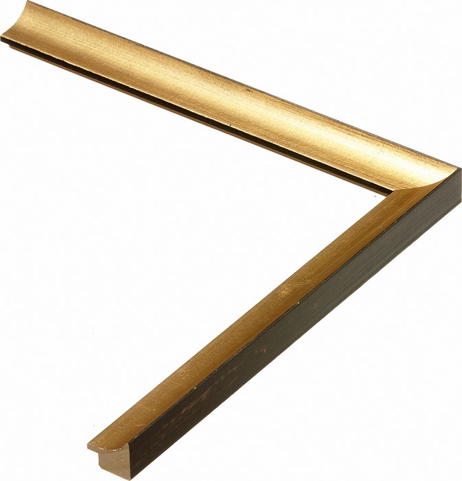 Roma Moulding 1923055
Custom frames and moulding shipped natonwide.
Call 770-941-3394