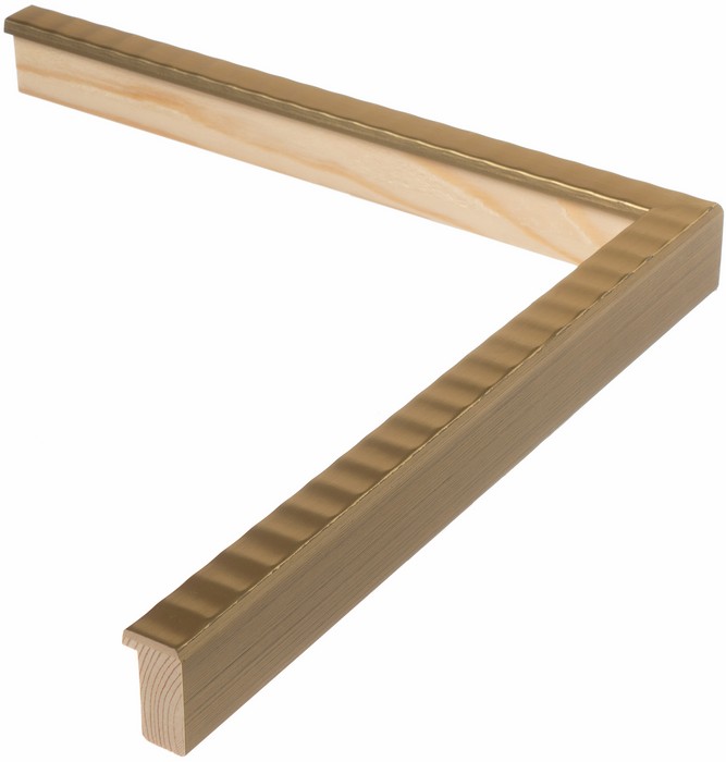 Roma Moulding 212055
Custom frames and moulding shipped natonwide.
Call 770-941-3394