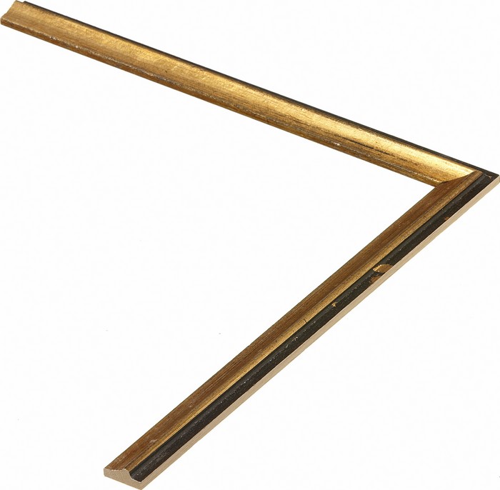 Roma Moulding 24
Custom frames and moulding shipped natonwide.
Call 770-941-3394