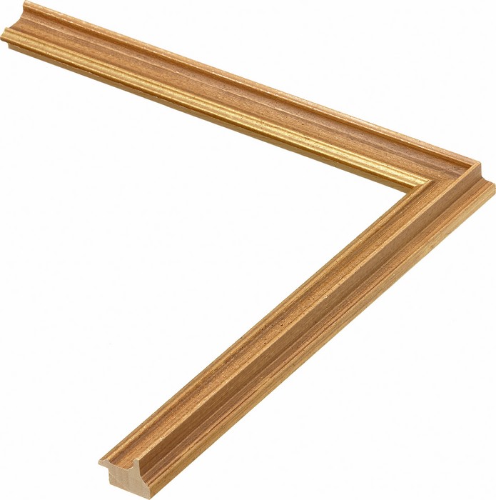Roma Moulding 255083
Custom frames and moulding shipped natonwide.
Call 770-941-3394