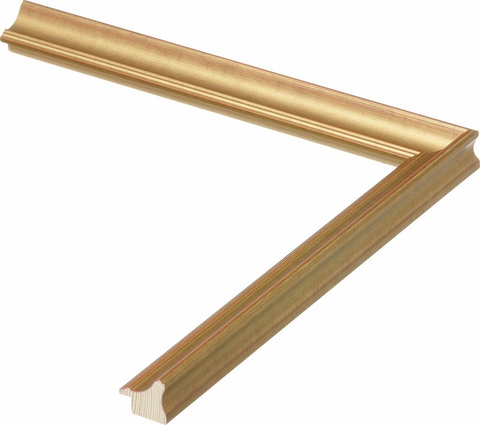 Roma Moulding 26555
Custom frames and moulding shipped natonwide.
Call 770-941-3394