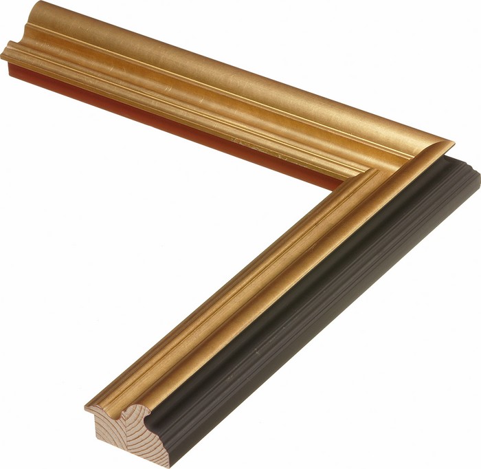 Roma Moulding 30755
Custom frames and moulding shipped natonwide.
Call 770-941-3394