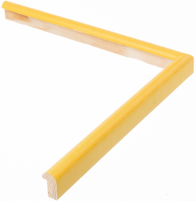 Roma Moulding 321876
Custom frames and moulding shipped natonwide.
Call 770-941-3394