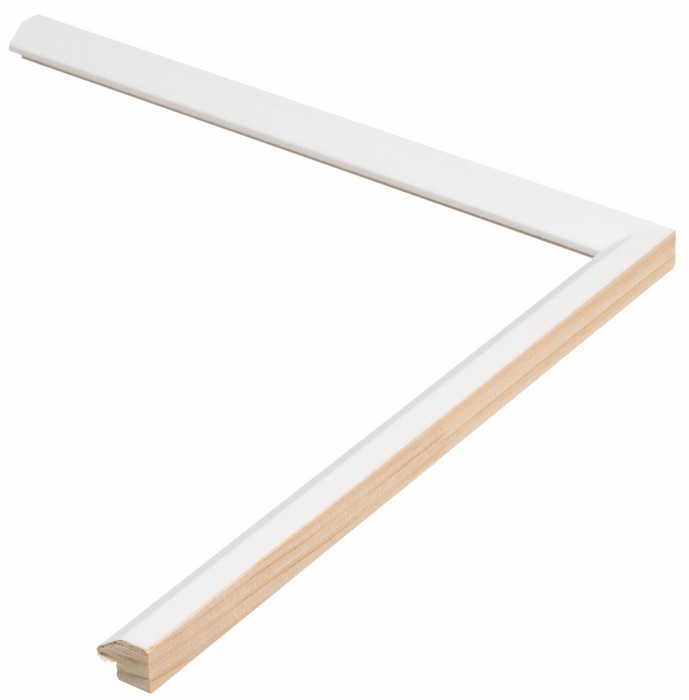 Roma Moulding 420009
Custom frames and moulding shipped natonwide.
Call 770-941-3394